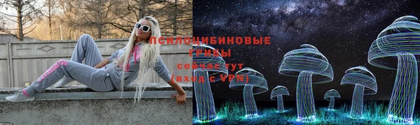 МДПВ Алексин